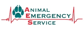 aes logo
