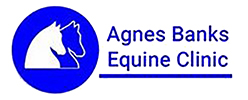 agnes banks equine logo