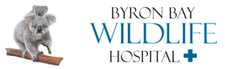 byron bay wildlife logo