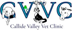 callide valley logo