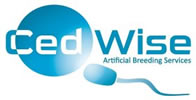 Ced Wise Logo