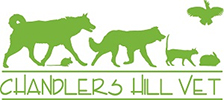 Chandlers Hill Vet Hospital Logo