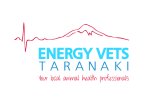 energy vets logo
