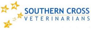 southern cross logo