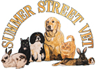 Summer Street Vet Clinic Logo