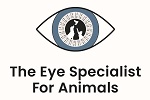 the eye specialist logo