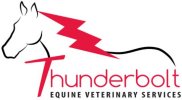 Thunderbolt Equine Vet Services Logo