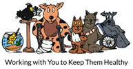 wellness vets logo