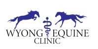 wyong equine logo