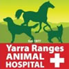 Yarra Ranges Animal Hosp Logo
