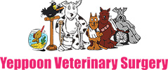 Yeppoon Veterinary Surgery Logo