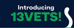 13vets logo
