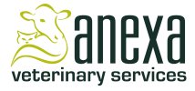 anexa logo