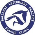ballarate equine clinic logo
