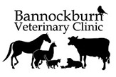 bannockburn logo