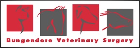 bungendore logo