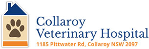 collaroy logo