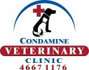 condamine logo