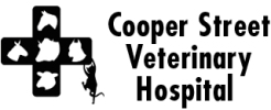 Cooper Street logo