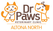 dr paws logo