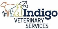 indigo logo