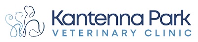 kantenna park logo