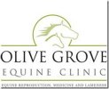 olive grove equine logo