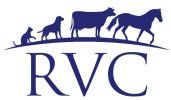 rangiora vet logo
