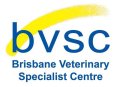 bvsc logo