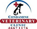 condamine logo