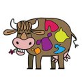 Maleny Vet Services Logo